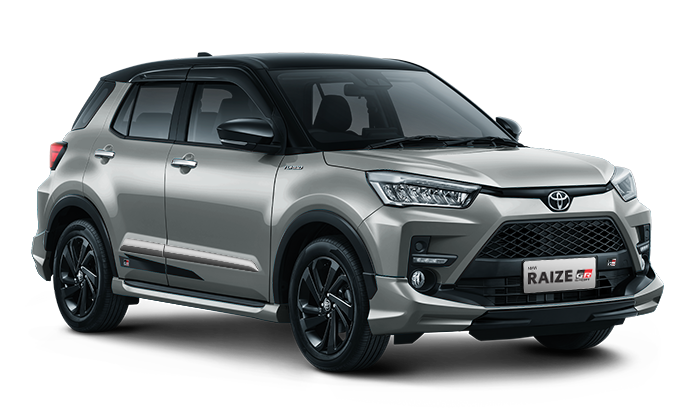 Twotone Black - Silver